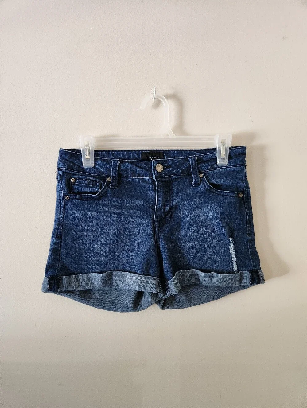 Celebrity Pink Blue Denim Shorts